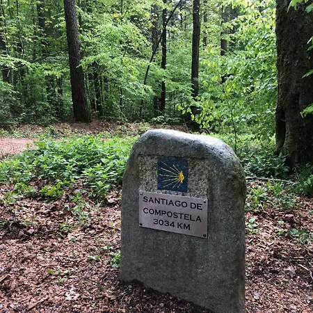 Maison Euba Am Zeisigwald Apartment Chemnitz