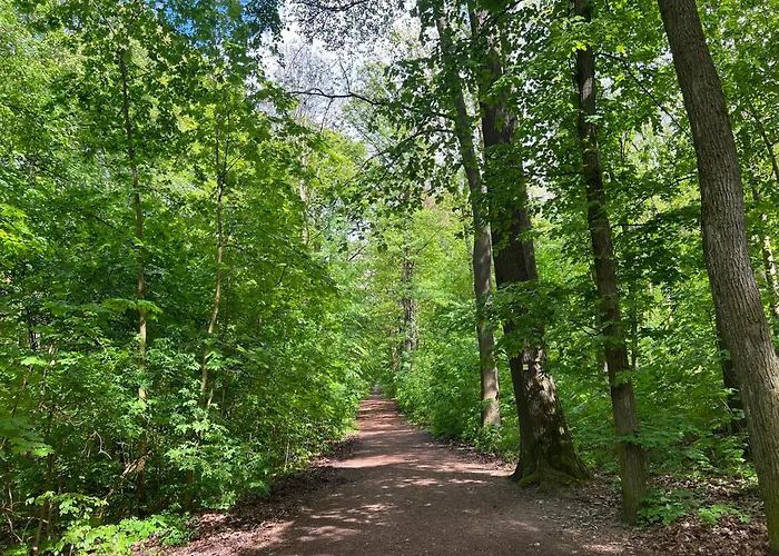 Maison Euba Am Zeisigwald 公寓 *