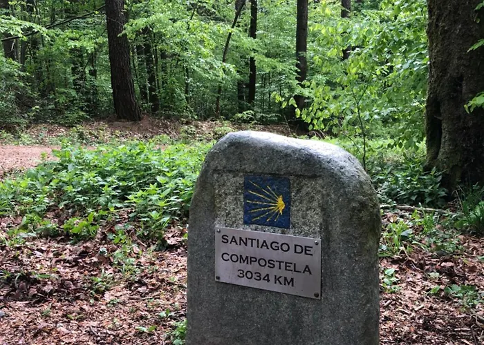 Maison Euba Am Zeisigwald 公寓 开姆尼茨